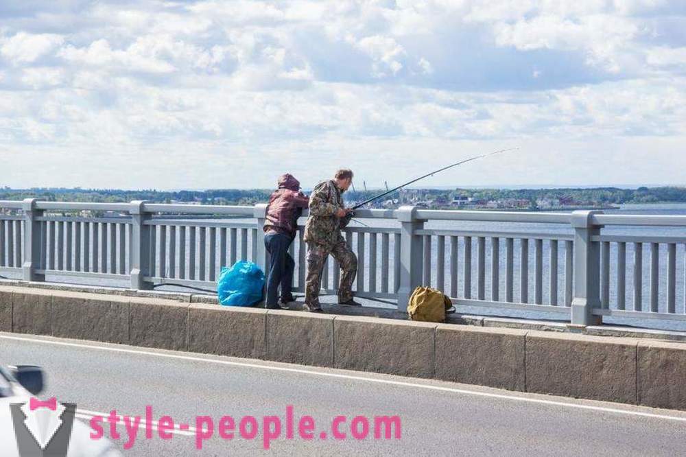 Kalapüük Saratov Volga: fotod ja kommentaarid