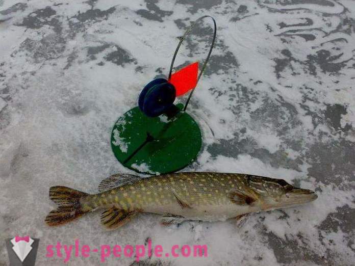Winter kalapüük jääl esimene: Tips kogenud