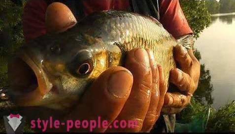 Kalastamine Pakhra: fotod ja kommentaarid. kalapüügi laigud